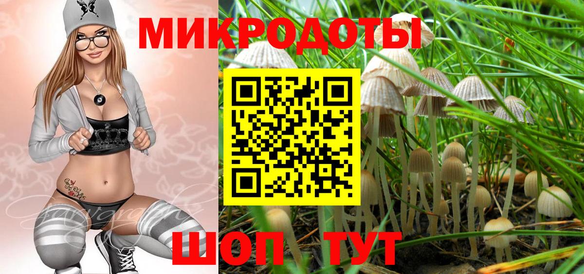 Псилоцибиновые грибы Psilocybe  Вход с VPN  Магадан  Галлюциногенные грибы мицелий 