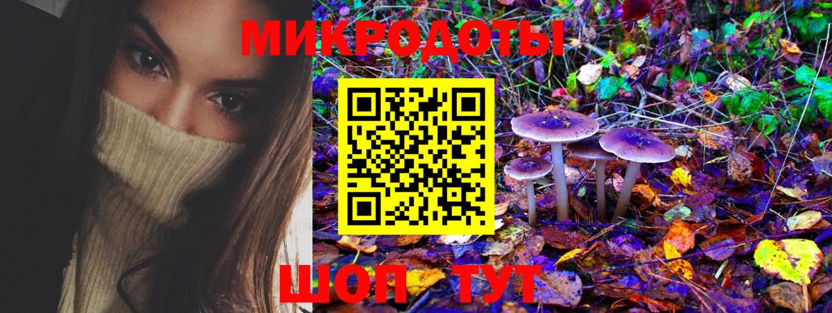 Псилоцибиновые грибы мицелий Магадан